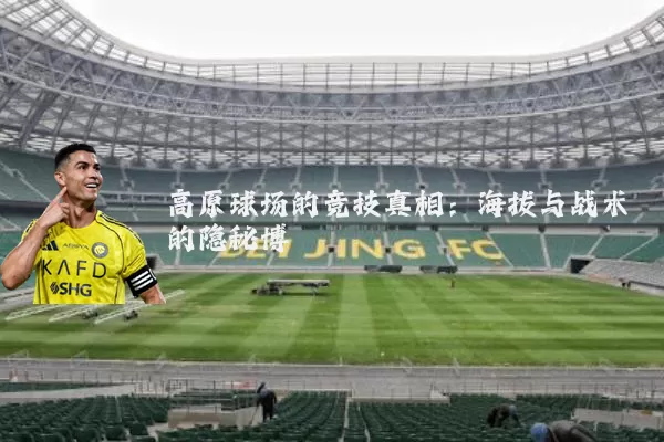 高原球场的竞技真相：海拔与战术的隐秘博弈